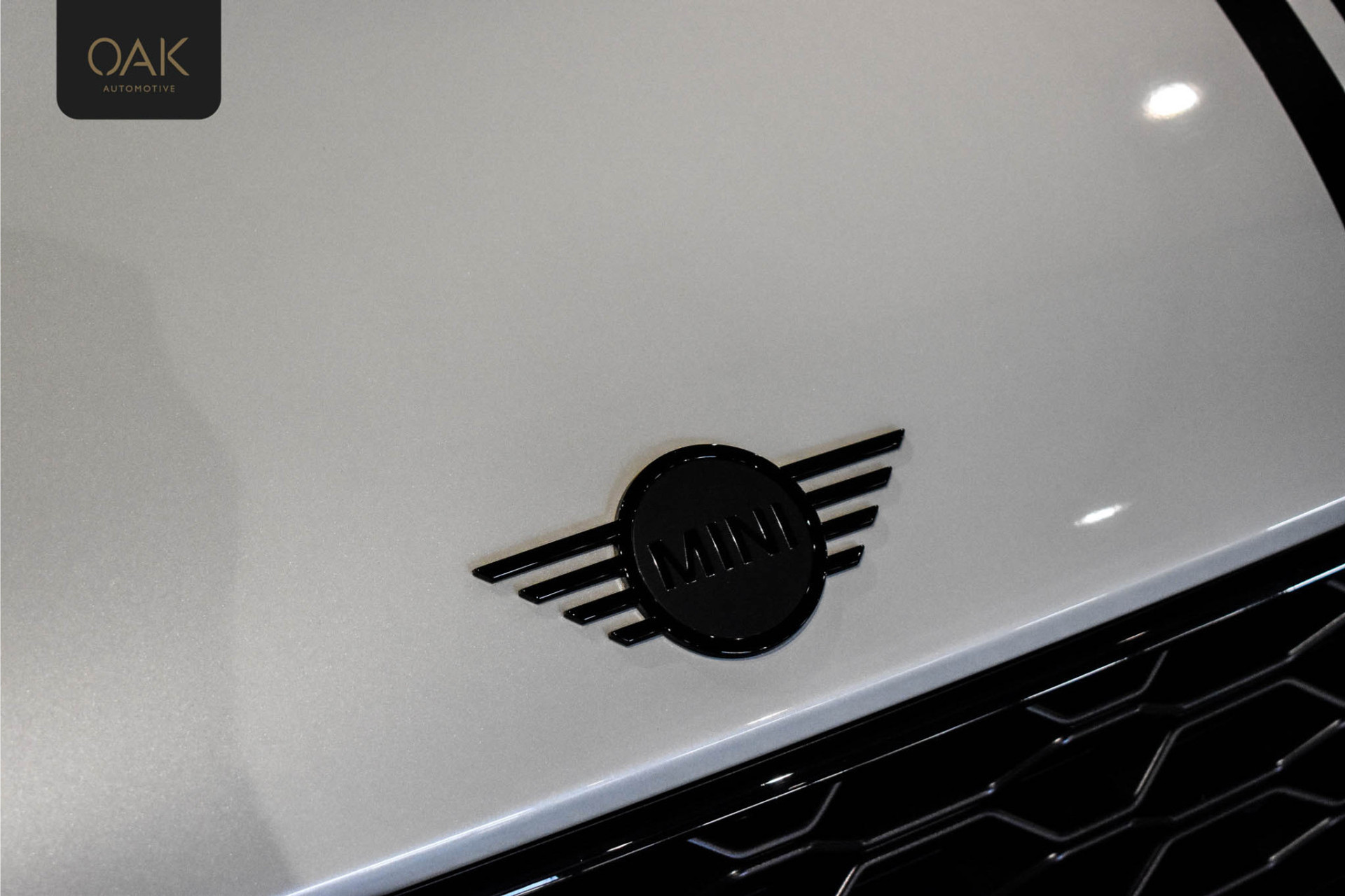 48084599-8.jpg